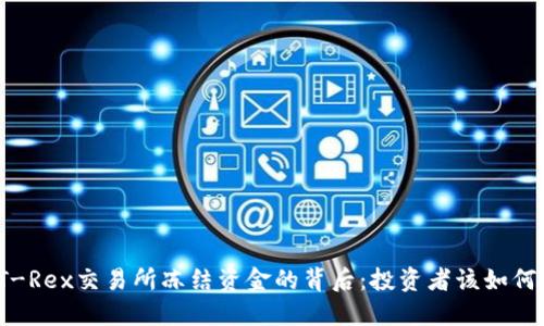揭秘T-Rex交易所冻结资金的背后:投资者该如何应对?