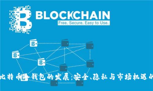 中国比特币冷钱包的发展:安全、隐私与市场机遇的交汇